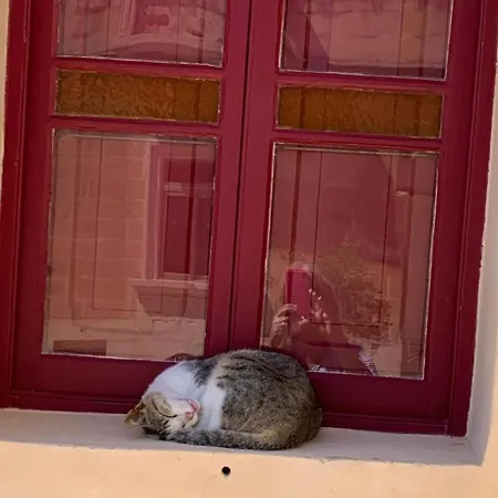 Townhouse 7 בית נופש Dingli