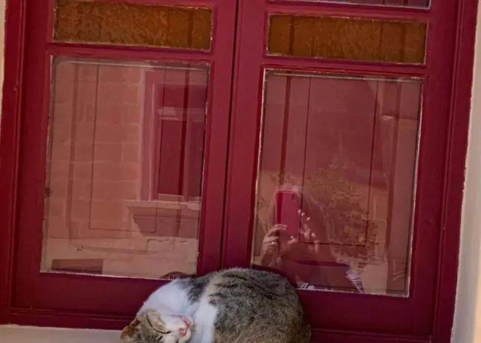 Townhouse 7 Сasa de vacaciones Dingli